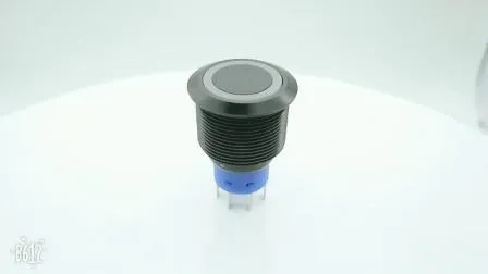 Interruptor de encendido con iluminación LED electrónica a prueba de agua, interruptor de botón Micro automático basculante táctil